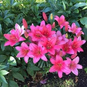 Meet your Posher, Yulia